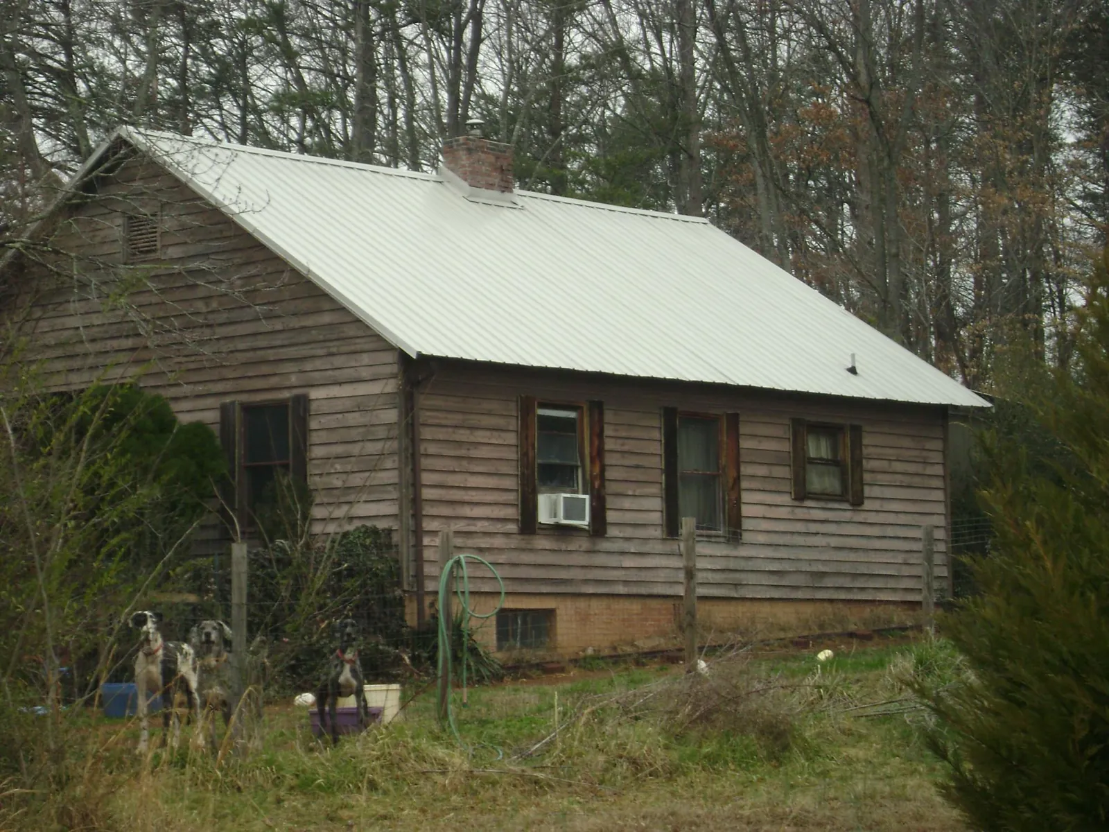 White metal roof on an old wood sided farmhouse, from a Asphalt Shingle Roof Repair job in Normandy